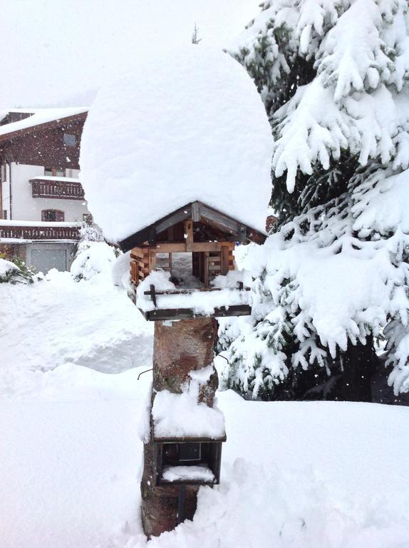 Haus Amann Apartment Berwang Bagian luar foto
